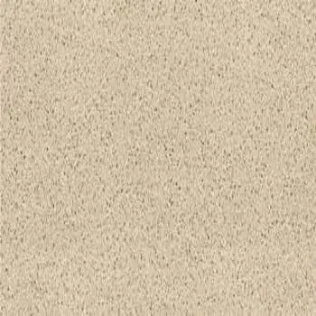  Beige Sandstone
